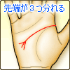 知能線の先端が3つに分れる