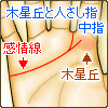 2つに分れ、1つは木星丘へ、もう1つは人さし指と中指の間に伸びる