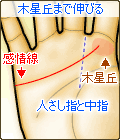 木星丘まで伸びる感情線