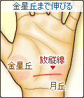 放縦線が金星丘まで伸びる