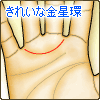 金星環が1本で、きれいな弧を描く